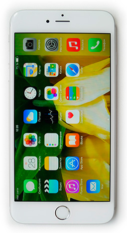 Apple iPhone 6 Plus оболочка