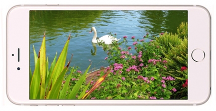 фото Apple Iphone 6s дисплей - 1