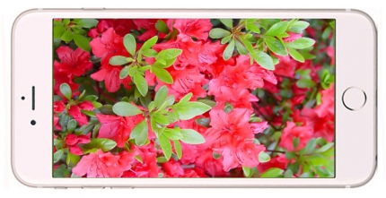 фото Apple Iphone 6s дисплей - 2