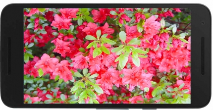 фото LG Nexus 5x H791 дисплей - 1