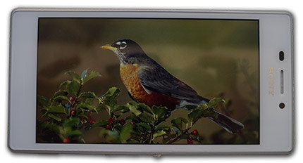 фото Sony Xperia M2 Dual sim дисплей - 2
