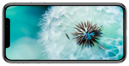 фото Apple Iphone X дисплей - 1