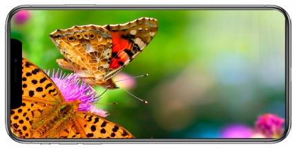 фото Apple Iphone XS MAX дисплей - 2