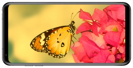 фото LG V30+ дисплей - 2