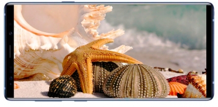 фото Samsung Galaxy Note 9 дисплей - 2