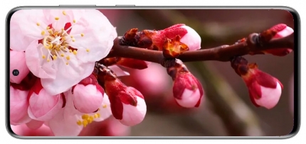 фото Samsung Galaxy S20 дисплей - 2