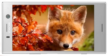 фото Sony Xperia XZ1 Compact дисплей - 2